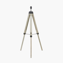Load image into Gallery viewer, Wicklow Pistachio Tapered Floor Lamp

