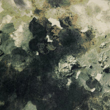 Load image into Gallery viewer, ScatterBox Bryn 43x43cm Green Cushion
