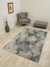 Load image into Gallery viewer, Victoria Silver/Sage Green Rug
