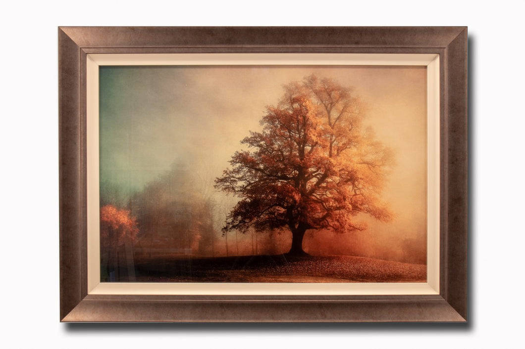 Autumn Wonder Picture