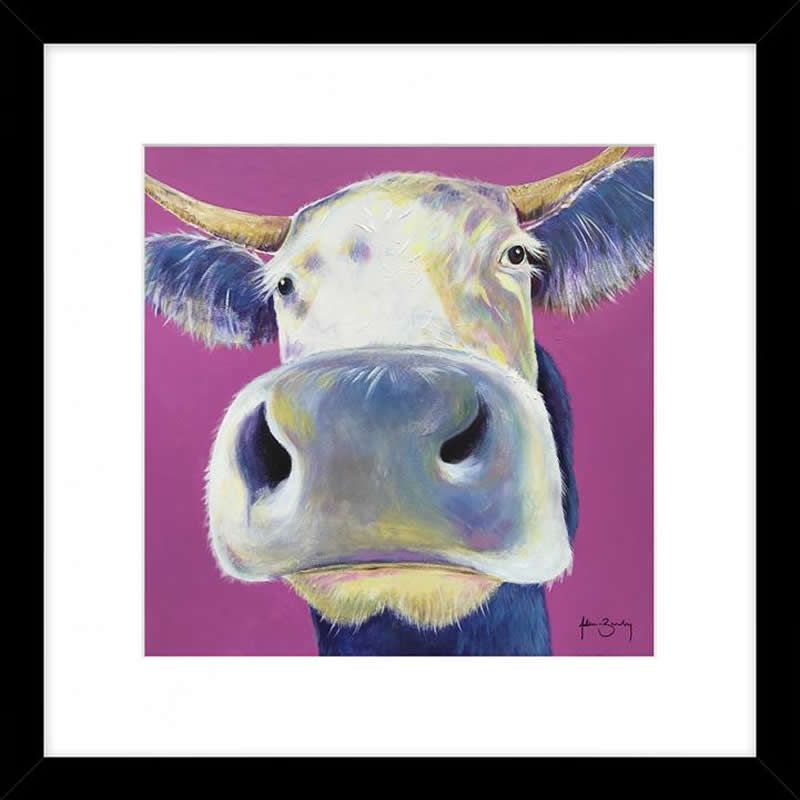 Buttercup Cow Picture